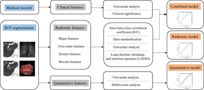 Correlation between PD-L1 expression and radiomic features in early-stage lung adenocarcinomas manifesting as ground-glass nodules